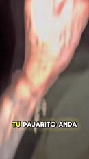 NITRIC OXIDE SNAP ORIGINAL-  ERECCIONES MÁS DURAS. MAYOR SENSIBILIDAD Y PLACER.  MÁS ENERGÍA PARA RENDIR COMO NUNCA.