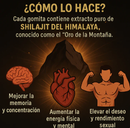 GOMAS SHILAJIT x 180g -MEGA OFERTA